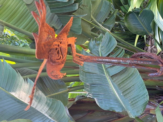 images/RS KAHU2.jpeg